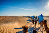 :  - c Pegas touristik